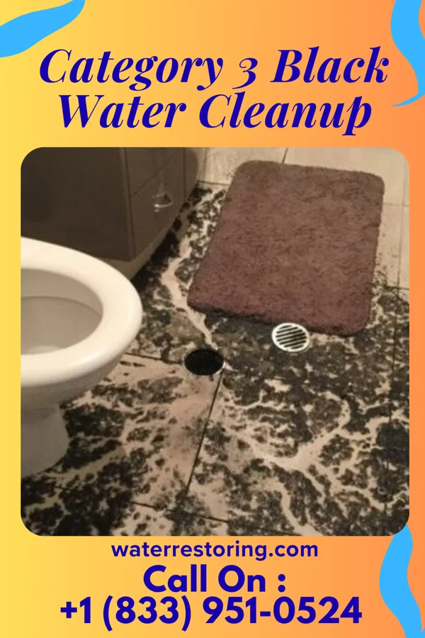 Category 3 Black Water Cleanup in Port Jervis, NY