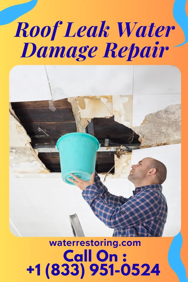 Roof Leak Water Damage Repair in Port Jervis, NY