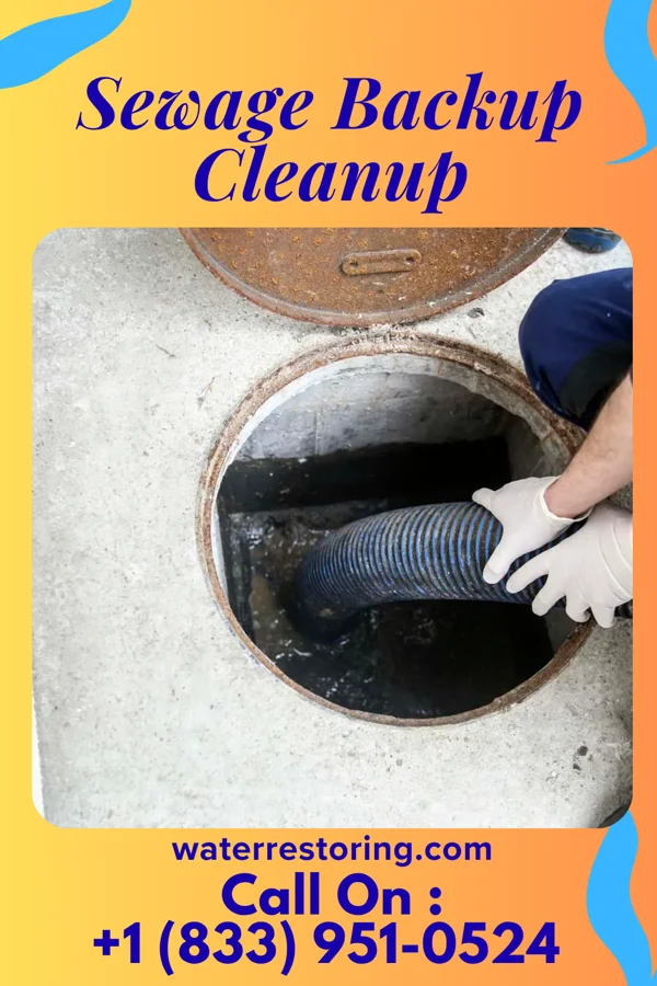 Sewage Backup Cleanup in Port Jervis, NY